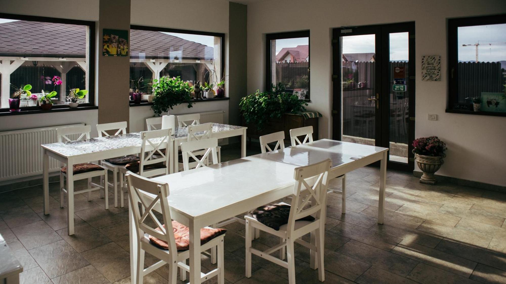 Aristocat Hotels Rasnov Экстерьер фото