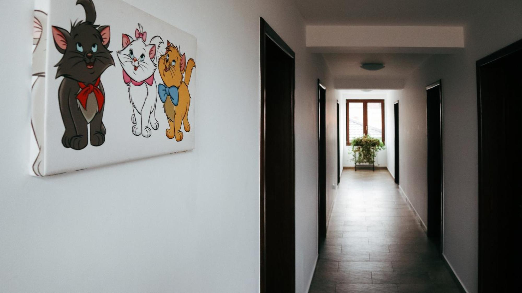 Aristocat Hotels Rasnov Экстерьер фото